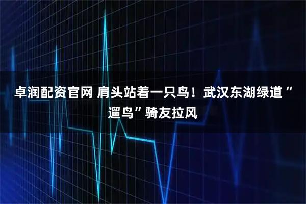 卓润配资官网 肩头站着一只鸟！武汉东湖绿道“遛鸟”骑友拉风