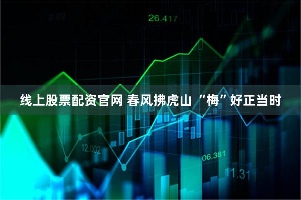 线上股票配资官网 春风拂虎山 “梅”好正当时