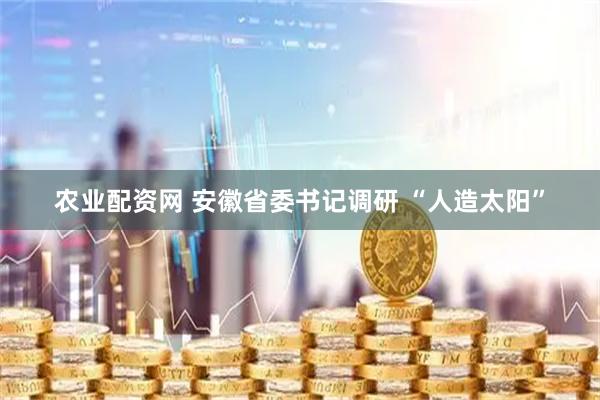 农业配资网 安徽省委书记调研 “人造太阳”